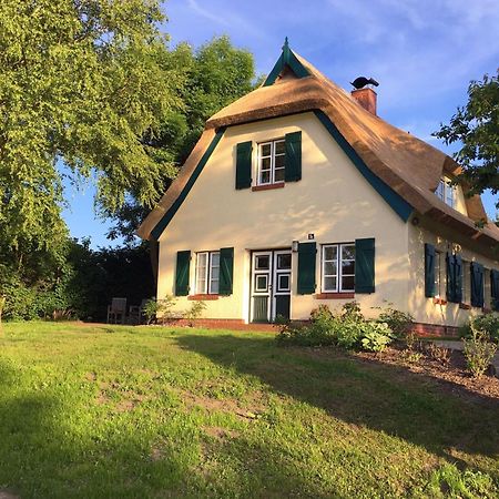 Burtevitz Ferienhaus Preetz 1A - Idylle Unter Reet المظهر الخارجي الصورة