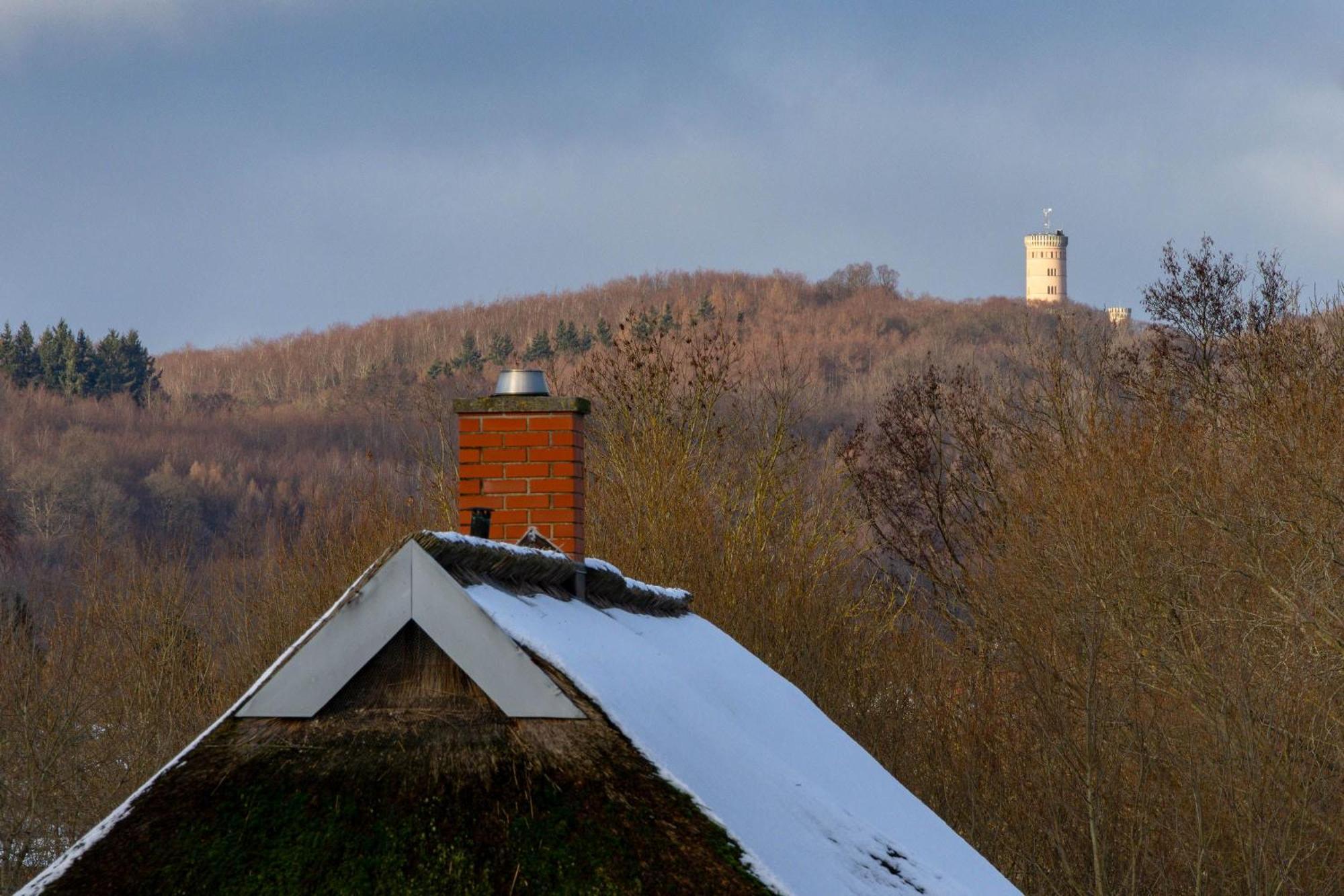 Burtevitz Ferienhaus Preetz 1A - Idylle Unter Reet المظهر الخارجي الصورة