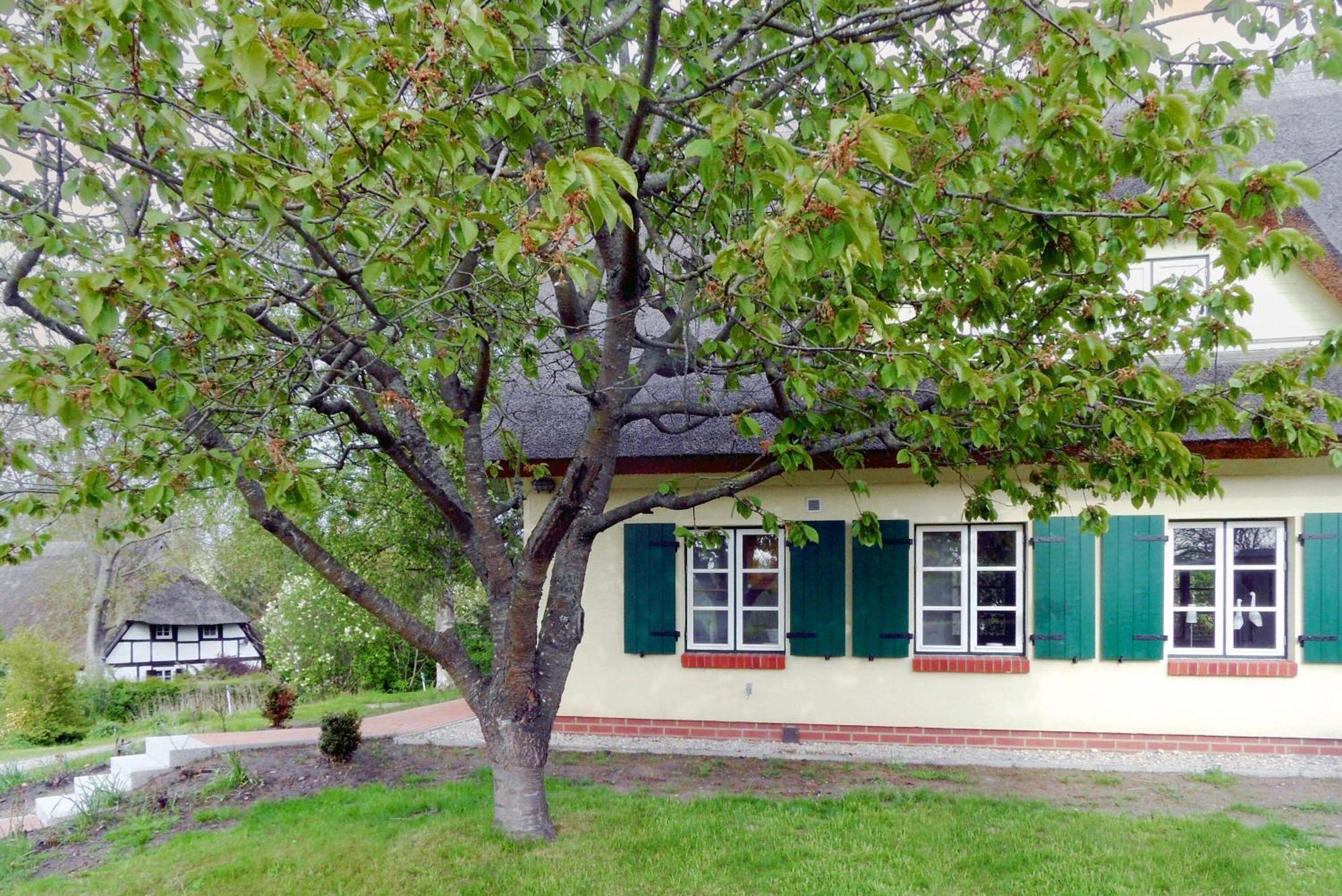 Burtevitz Ferienhaus Preetz 1A - Idylle Unter Reet المظهر الخارجي الصورة