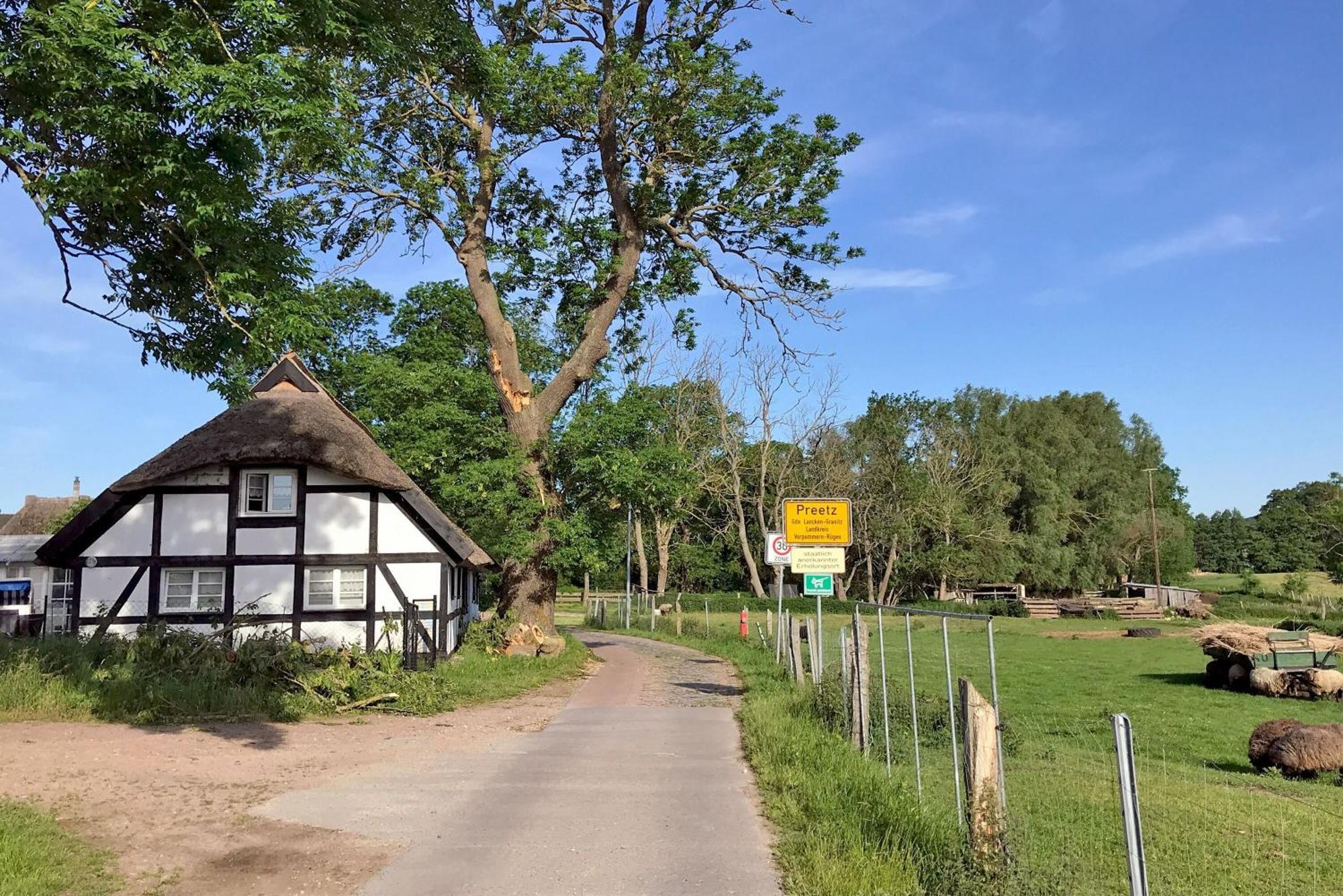 Burtevitz Ferienhaus Preetz 1A - Idylle Unter Reet المظهر الخارجي الصورة